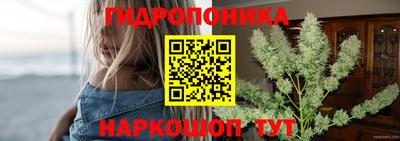стаф Рязань