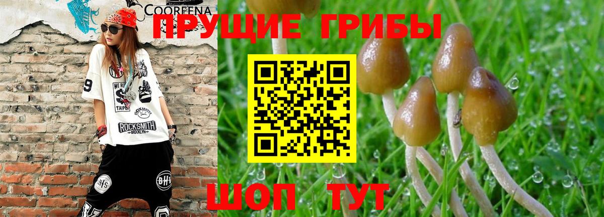 Псилоцибиновые грибы ЛСД  Вход с VPN  купить наркоту  Россошь 