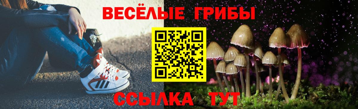 Галлюциногенные грибы мицелий Россошь